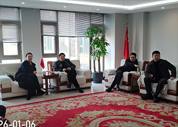 王总会见投资考察团